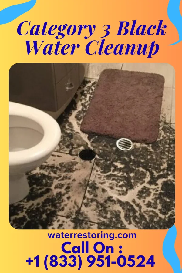 Category 3 Black Water Cleanup in Callaghan, VA