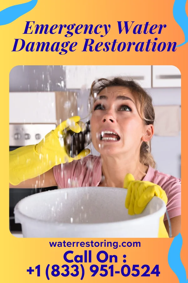 Emergency Water Damage Restoration in Callaghan, VA