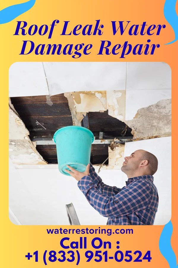 Roof Leak Water Damage Repair in Callaghan, VA