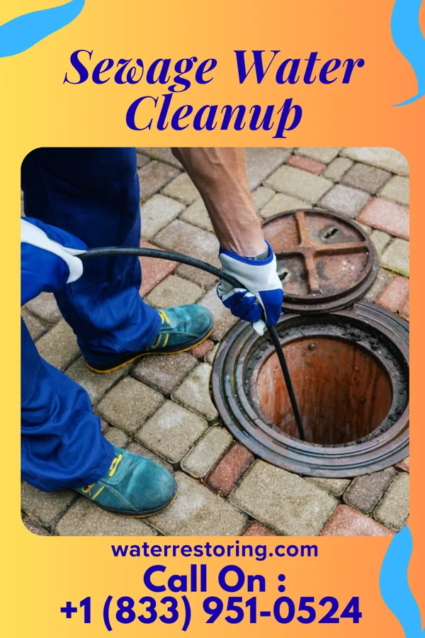 Sewage Water Cleanup in Callaghan, VA