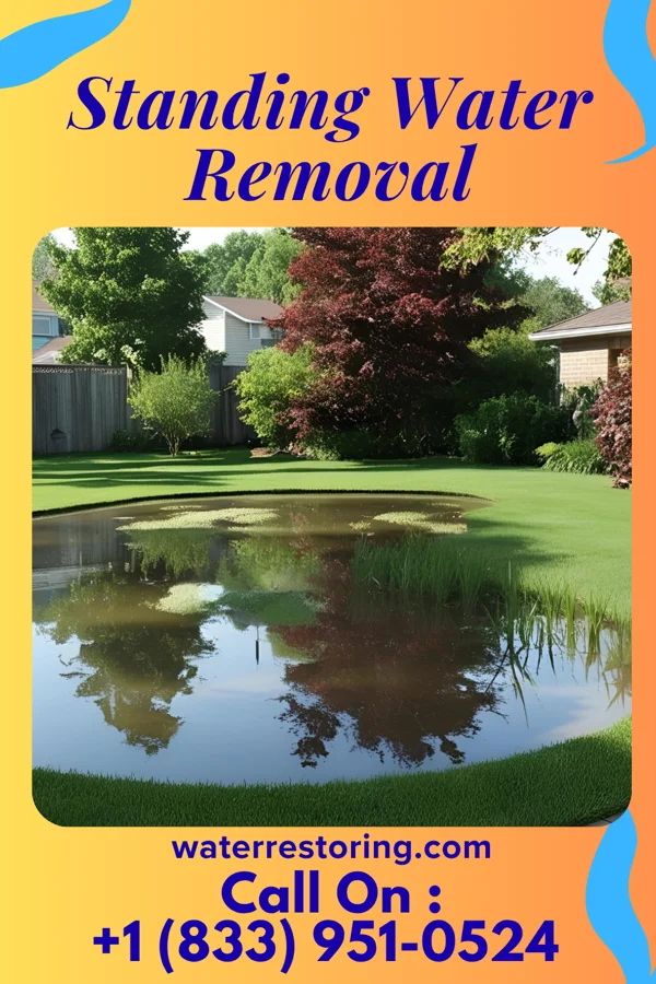 Standing Water Removal in Callaghan, VA